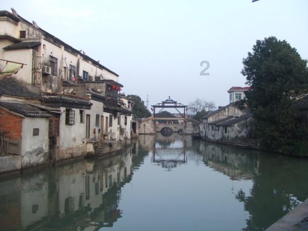 细胞分裂6
